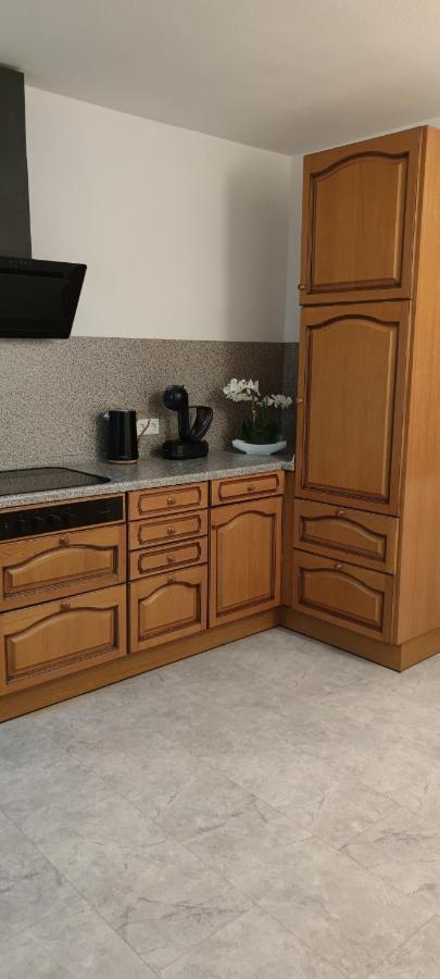 Schoene Und Optimal Gelegene Wohnung Og Weisskirchen エクステリア 写真