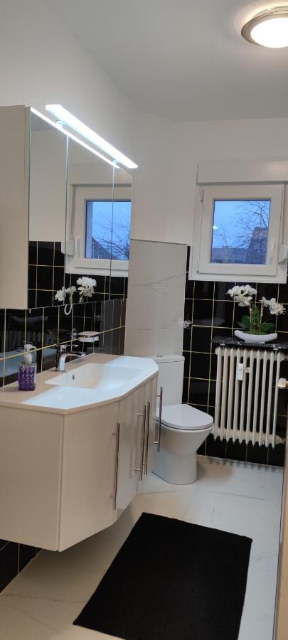 Schoene Und Optimal Gelegene Wohnung Og Weisskirchen エクステリア 写真